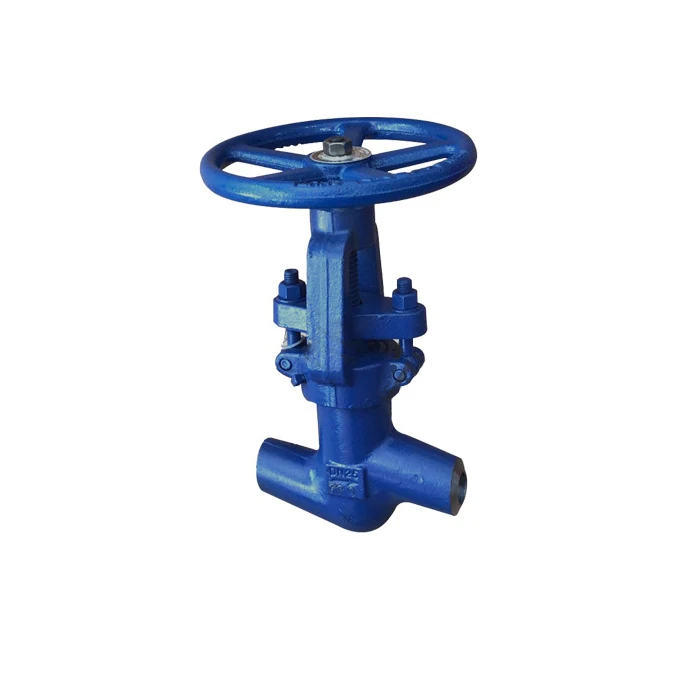 J61Y-250C High Temperature And High Pressure Shut-off Valve Manual Power Station Globe Valve