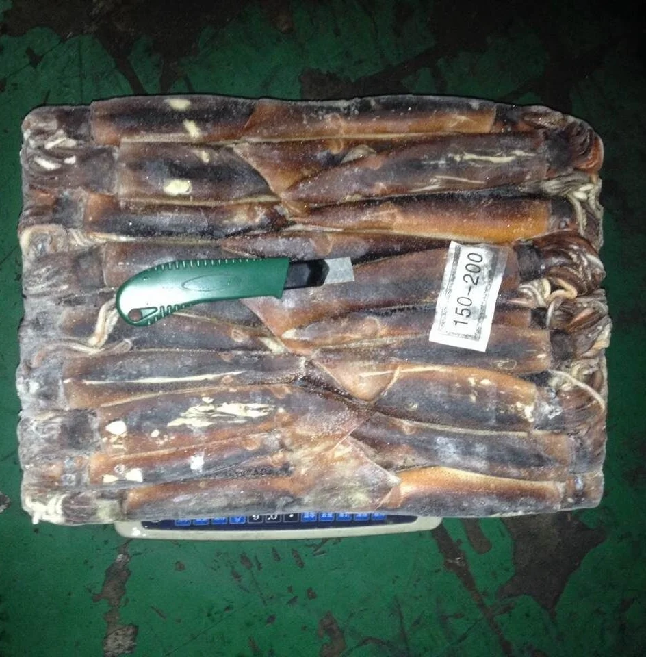 
factory direct sale high quality Frozen black squid 