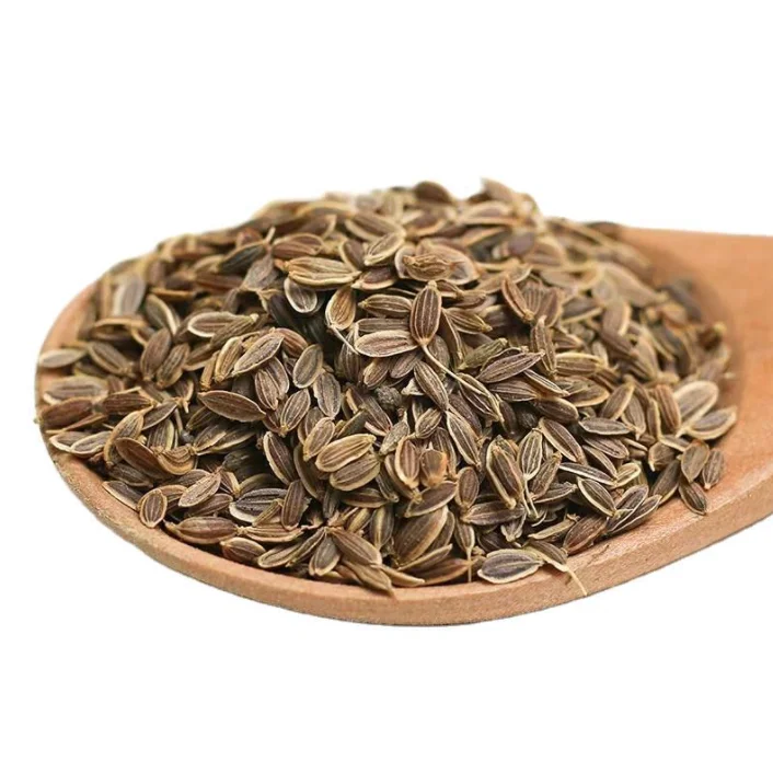 100% натуральные высококачественные семена удка палочка коричневая трава масала сырая