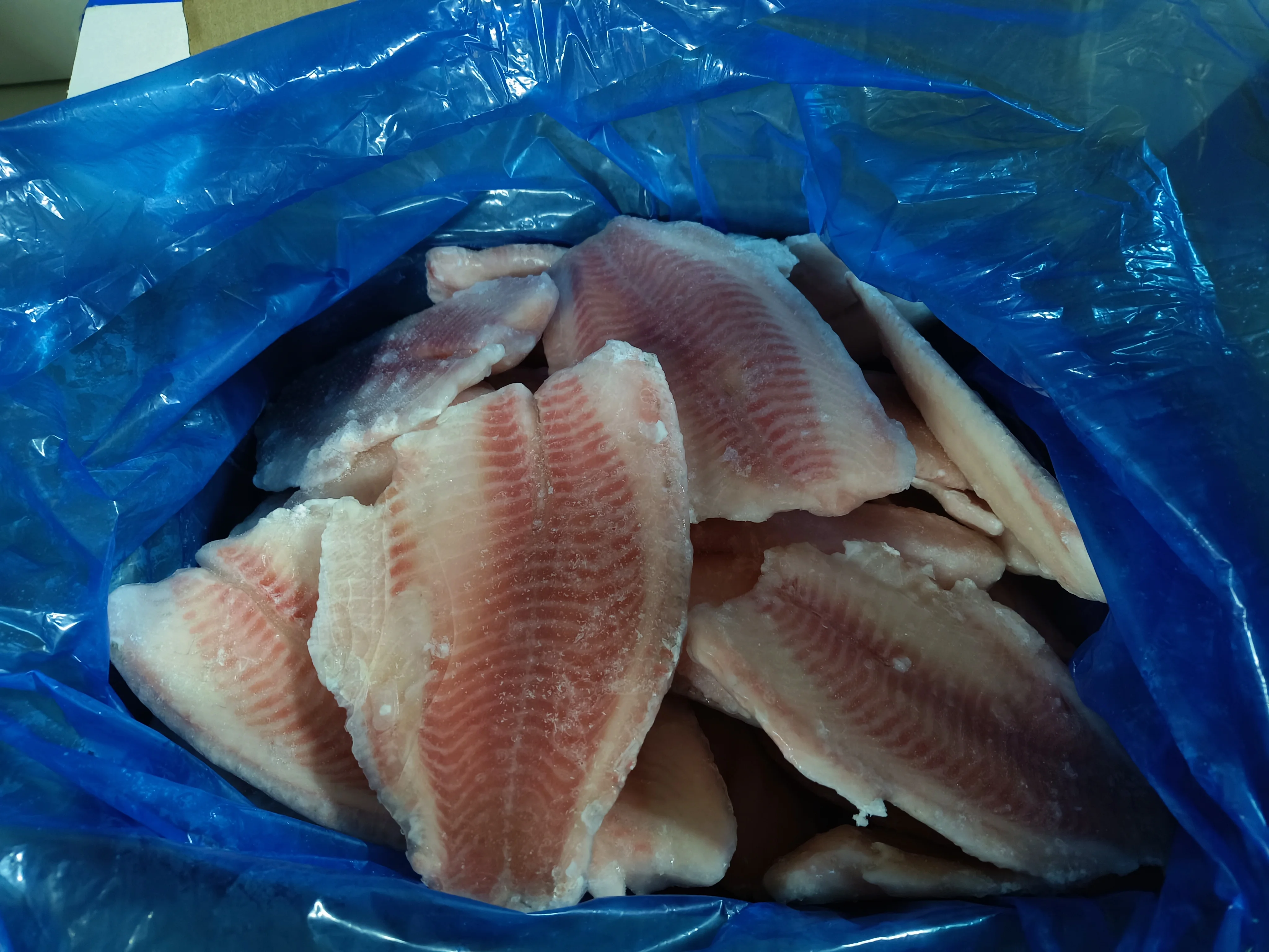 IVP carton packing Frozen Tilapia Fish Fillet IQF tilapia fish fillet