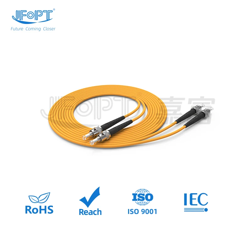 Quick Delivery FTTH 3 Meter ST/PC to ST/LC/FC/SC PC 3.0mm SM MM OM3 PVC Simplex Duplex Fiber Optic Patch Cord