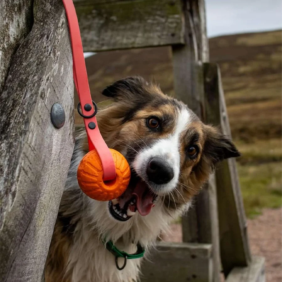 Training Pet Chew Toy Bite Pull Interactive EVA Floating Foam Waterproof Easy Clean Dog Toys Ball Tug Toy with PVC Handle