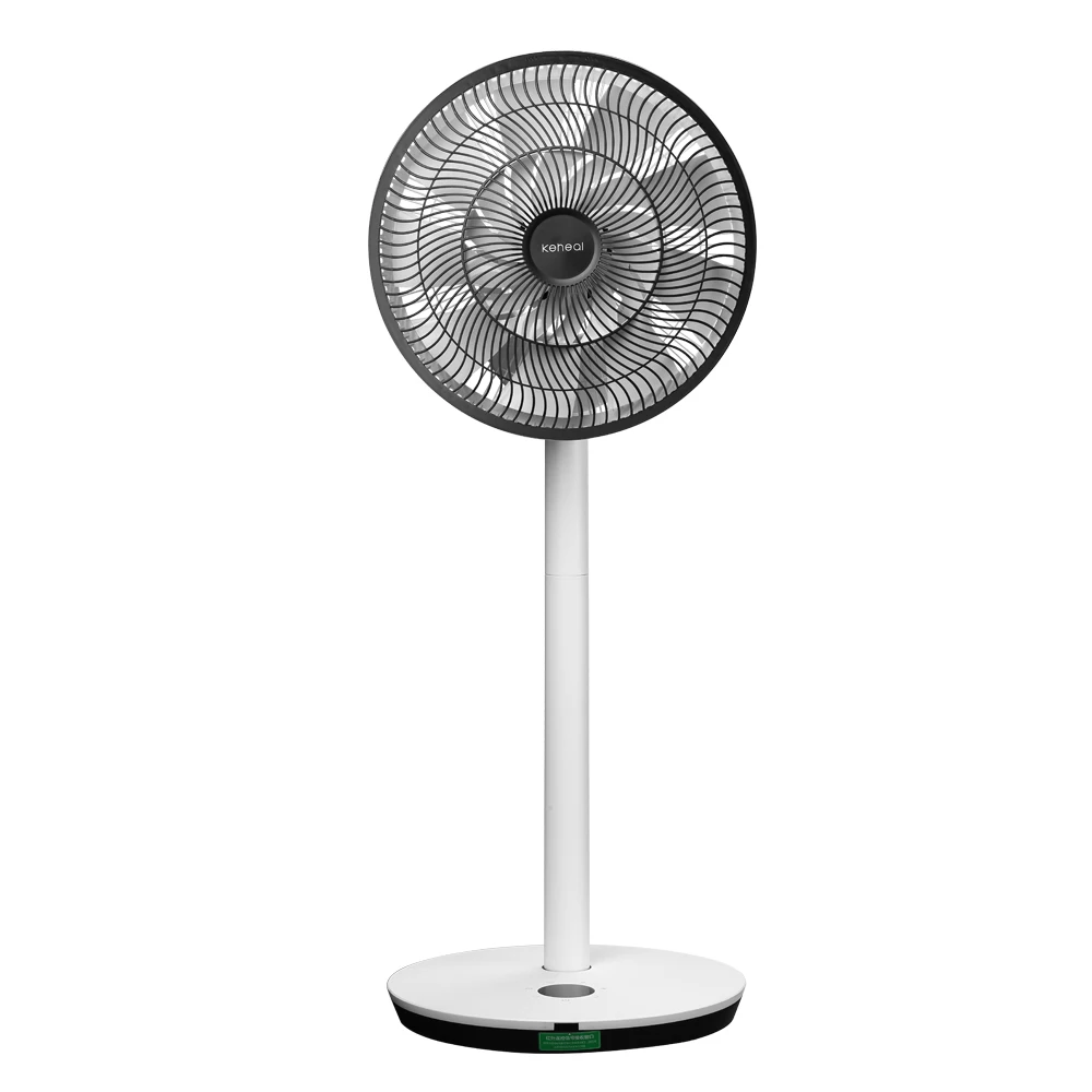 
2020 classic design ODM OEM color custom rechargeable electric stand fan for room 