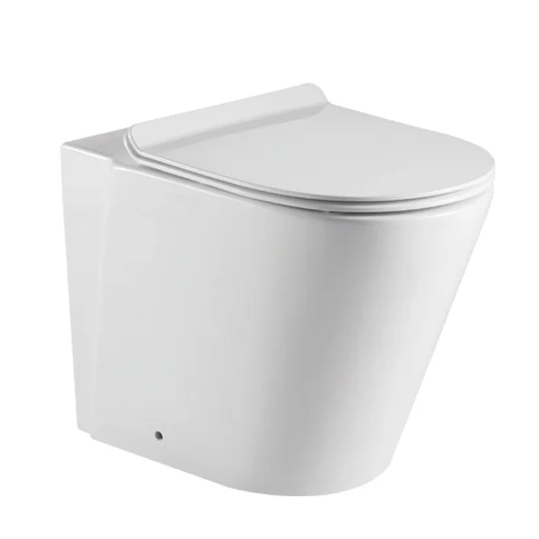 Washdown Back to Wall Toilet Cheap Floor Standing Ceramic for Home Bathroom One Piece Flush Pipe Component 20 Set Floor Mounted