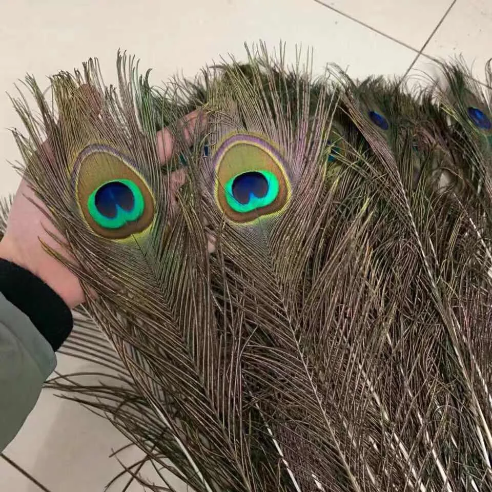 70-80cm Wholesale christmas decorative  peacock feathers for party decoration