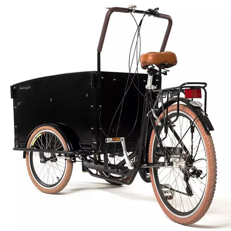 Bicycle with cargo box new design bike electric modern 3 wheel tricycle