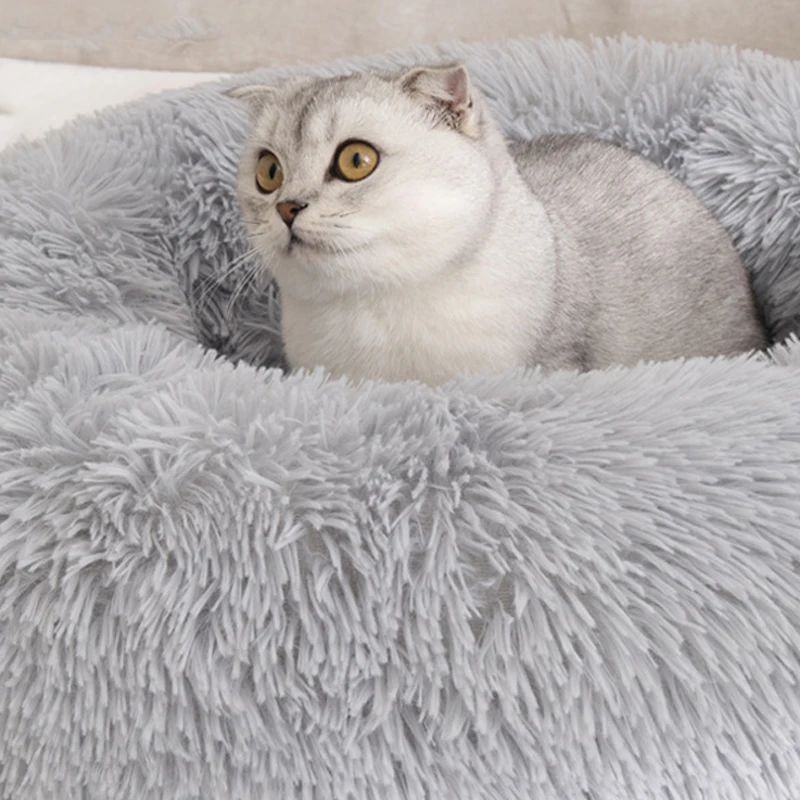 Amazon Popular Luxury Cat Dog Bed Cave Eco Friendly Velvet Modern Washable Bed for Pet Cats Dogs