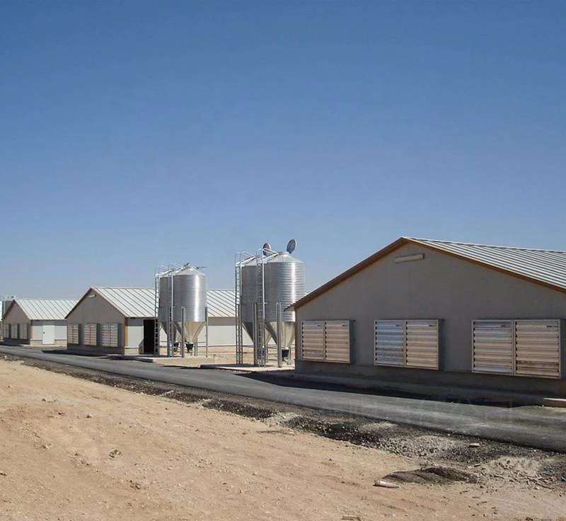 Low cost light steel structure poultry farm electric control chicken shed for sale