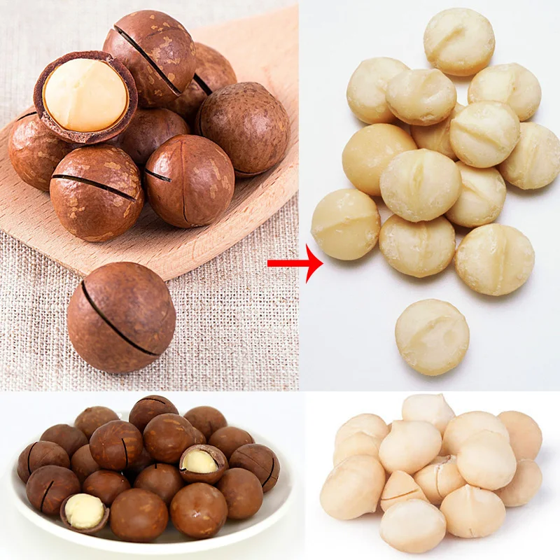 NEWEEK Australia 200kg/h farm/home use hawaii nut opener macadamia nuts processing machine macadamia nut cracker machine
