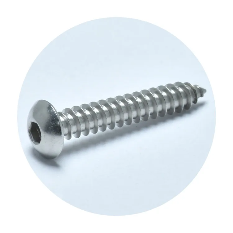 SS 304 316 410 Stainless Steel #4 #6 #8 Hex Socket Button Head Self Tapping Screws