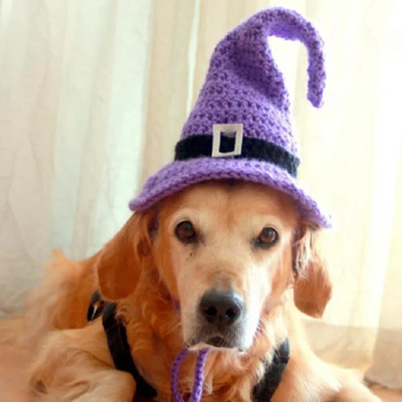 Halloween Handmade Acrylic Luxury Crochet Pet Dog Hat Witch Sorceress Hats