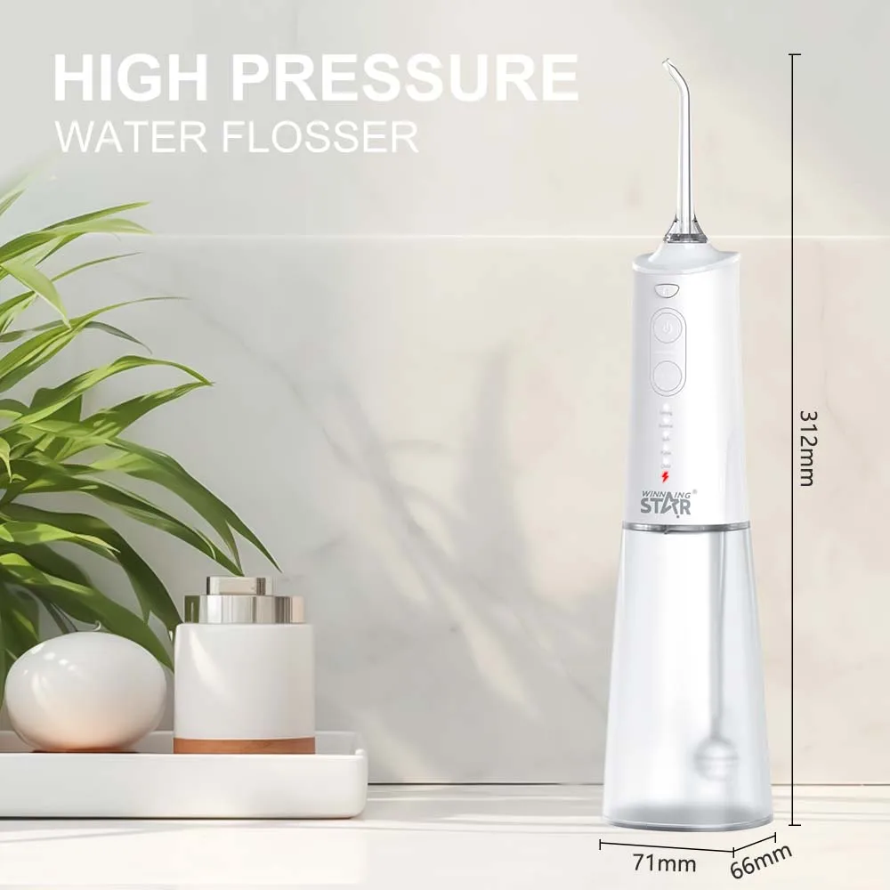 WINNING STAR ST-9817 IPX7  Waterproof Rechargeable Dental Jet Care Electric Professional Teeth Water Oral Irrigator