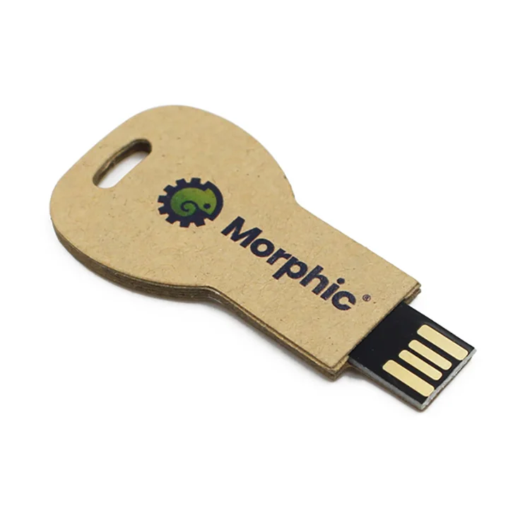 Key Wood USB Custom Disk High Speed Memory Stick Eco-friendly Factory Thin Black Usb Fash Drive Pendrive 16GB Usb2.0 3.0