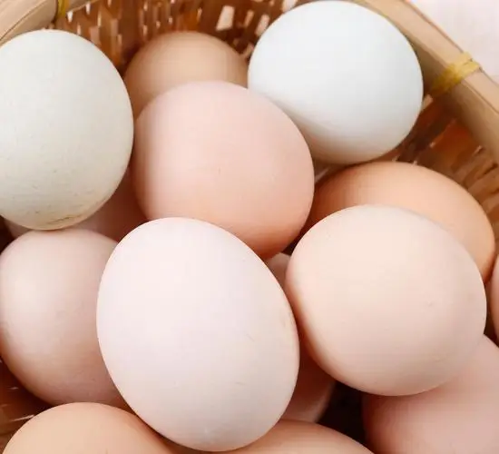 Promote  Absorption Calcium And Phosphorus chicken vitamins