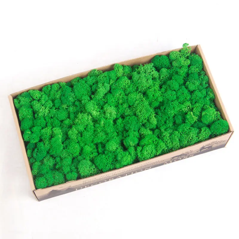 Colorful Artificial Moss Preserved Live decorative  for Landscape wedding Decoration restaurant
