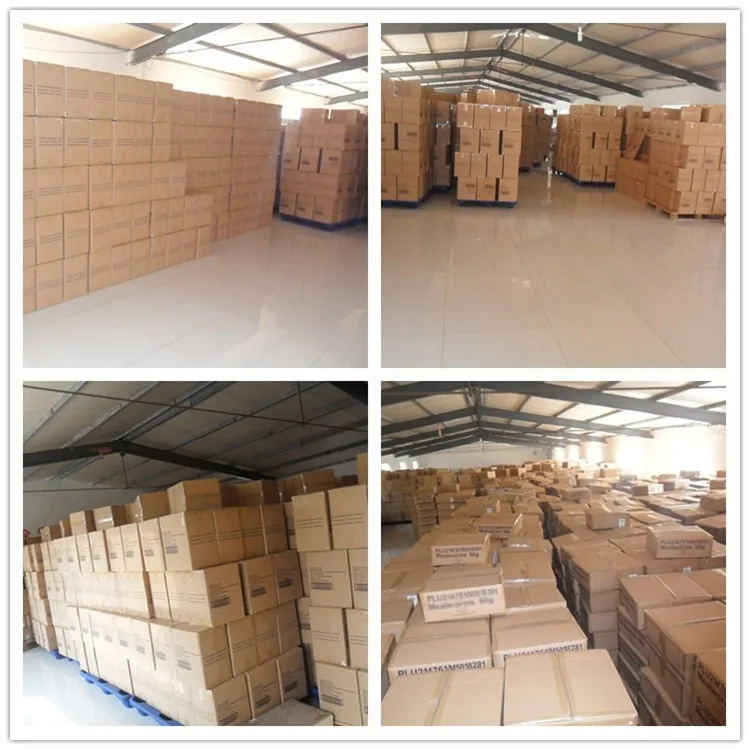 Hamster Food Supplies Black Soldier Fly Larvas as Worm Meal