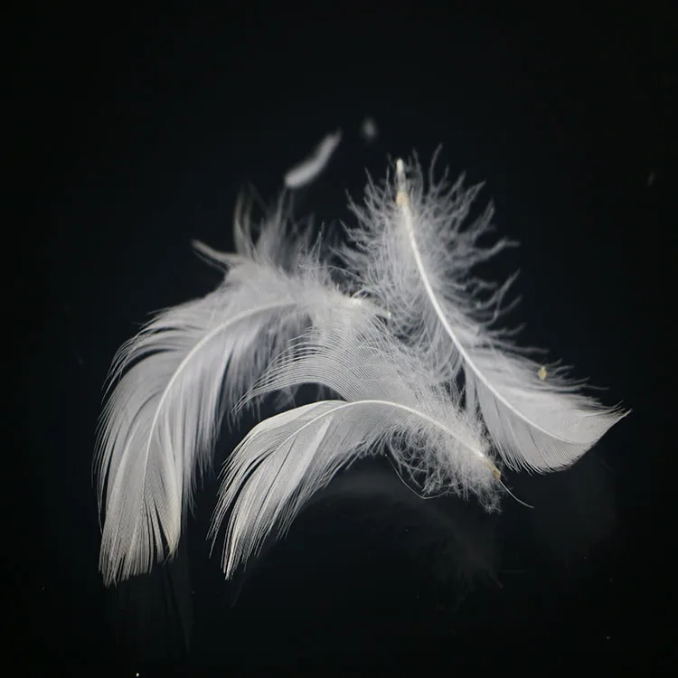 best price Washed 2~4cm white Duck Feather for  textiles