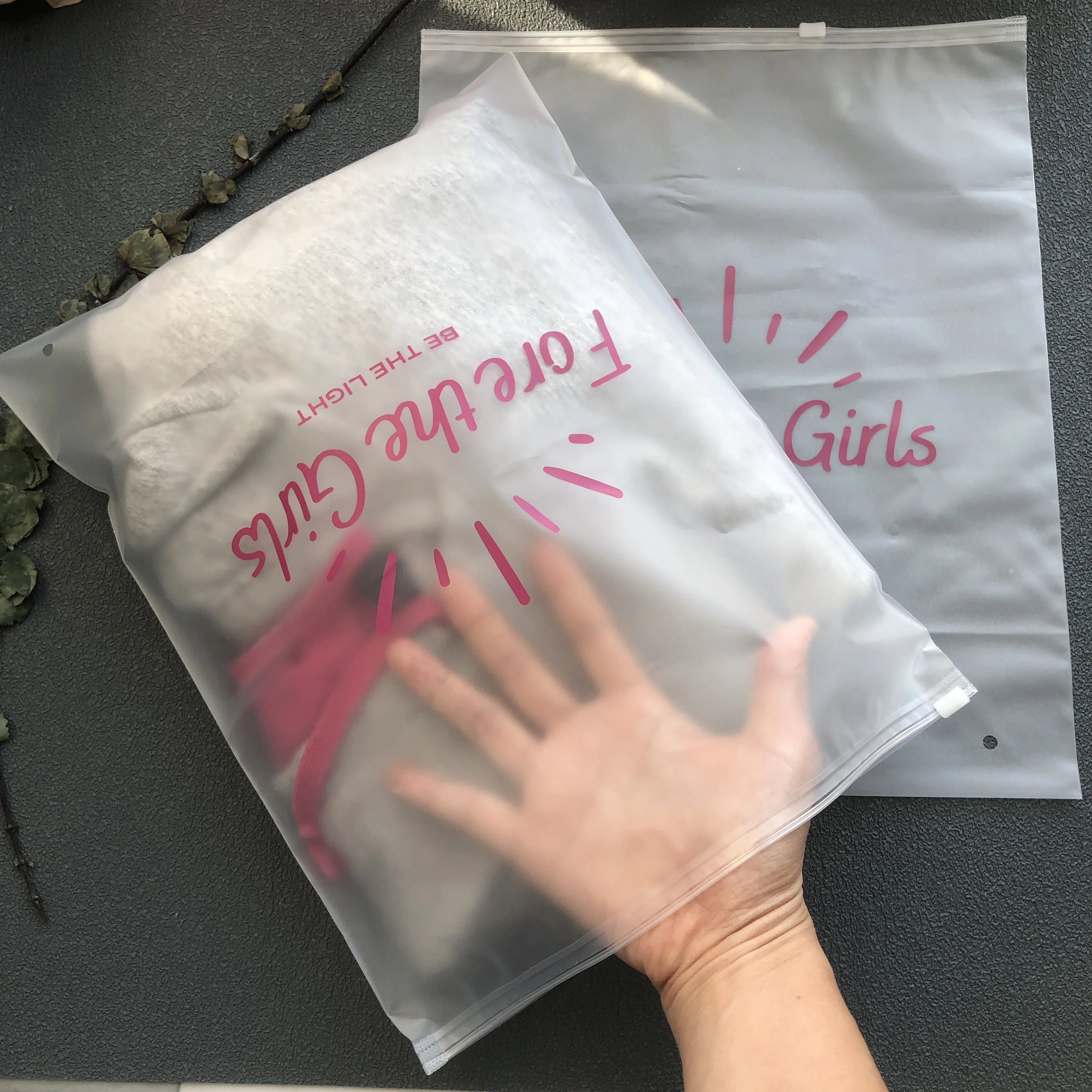 Wholesale Custom logo Frosted Plastic bag Clothes Zip Lock Self Sealing Bag Clothing Packaging Frosted Zipper Bags printed logo