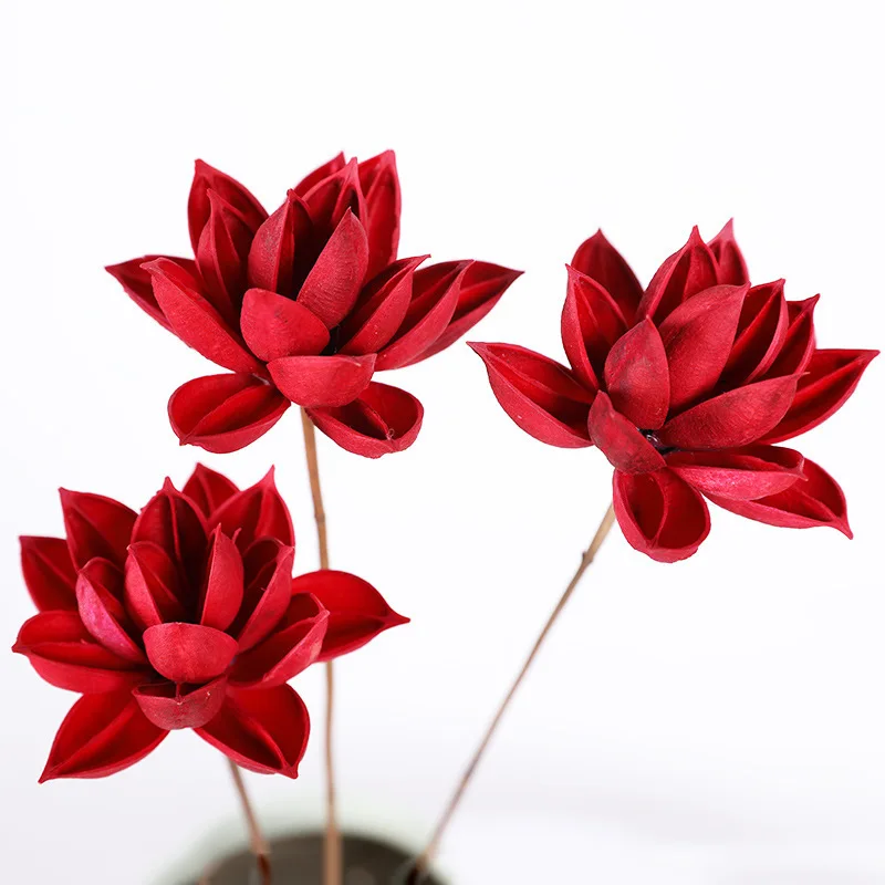 2019 new natural crafts natural lotus fruit hand-made artificial dried lotus flower