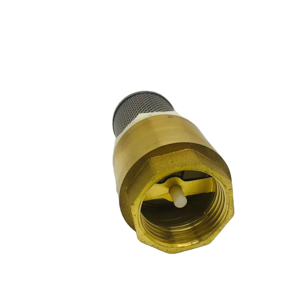 Brass foot valve  metal spring vertical check valve with  filter