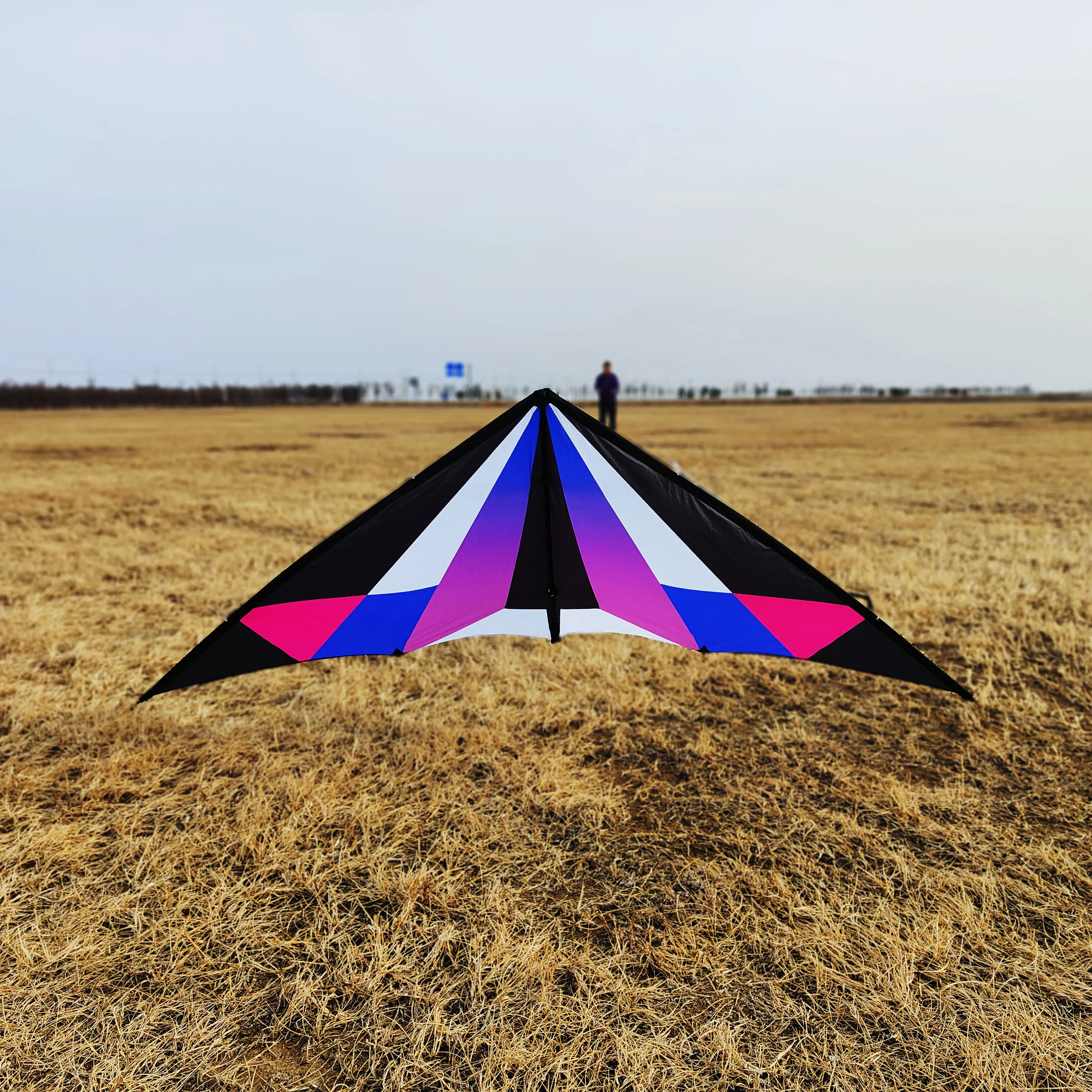 Factory Dual Line Power Kite Sale Sport Flying 2.4m Lanyork Magic Modern Deign Dual Line Stunt Kites