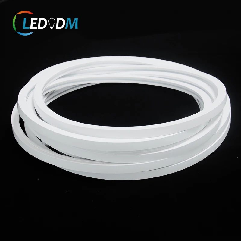 Waterproof IP68 Silicone Tube Light 16x16mm DC 12V 24V SMD 2835 120LEDs/m 3838 RGB Neon Pipe Light  Led Strip Light Neon Flex