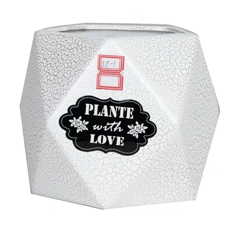 
Simple large white modern tiger skin orchid butterfly orchid special clearance custom Chinese manufacturers 