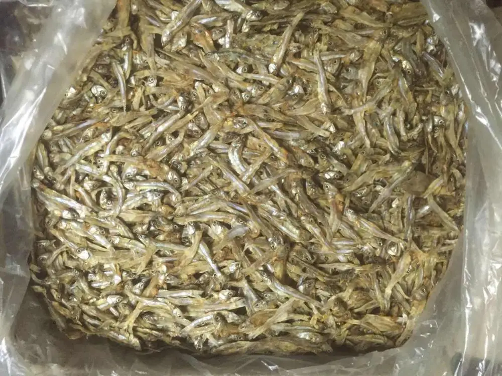 China origin  Dried Anchovy for Human