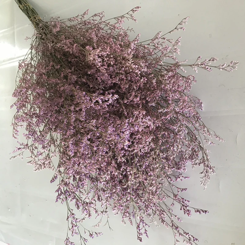 Засушенный цветок желтая влюбленная трава лимоний цветок для декоративных цветов и венков