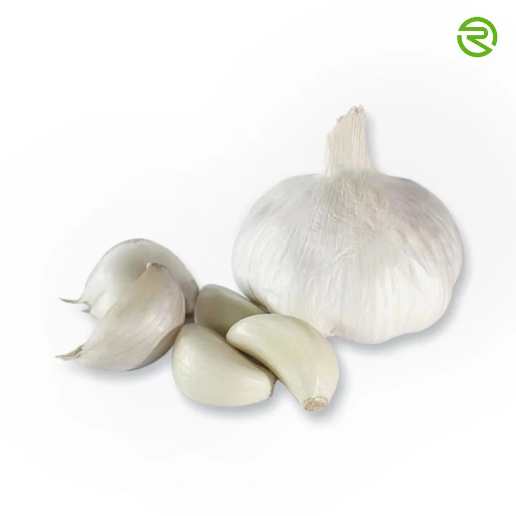 
Fresh white garlic garlic shandong multi - clove garlic high quality 