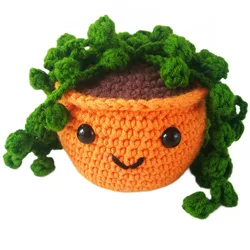 Crochet Kit for Beginners Crochet Amigurumi Succulent Plant  DIY Craft Kit Kawaii Plant