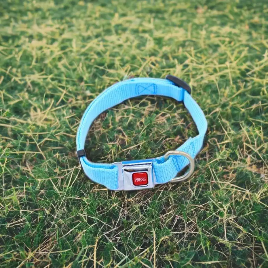 buckle metal color hardware pet dog collar buckle