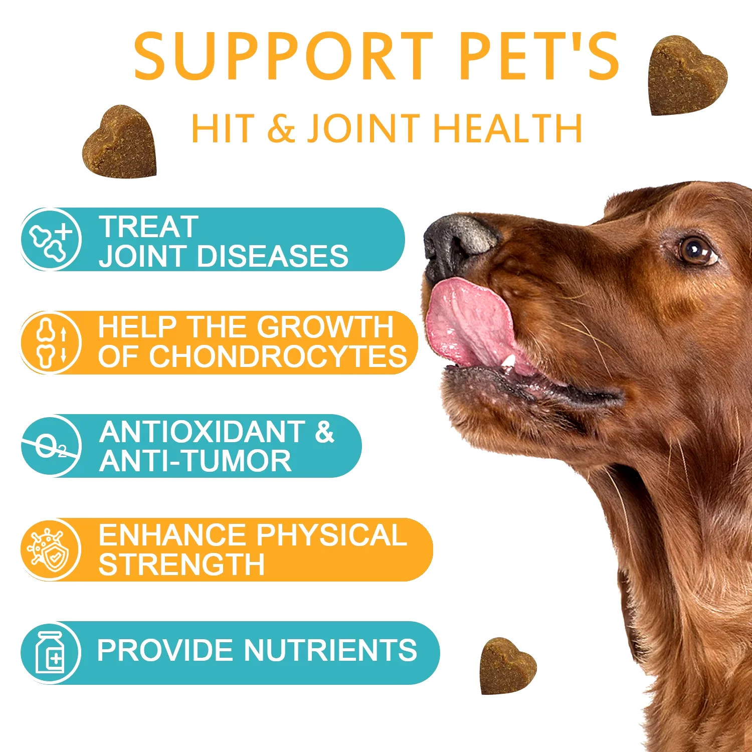 Multivitamin Soft Chews for Pet Health Digestion Immune Skin & Coat Support Healthy Joints & Bones