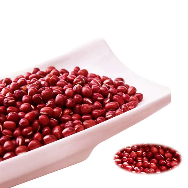 China Manufacture hot sale red beans crop dark red kidney beans quality beans
