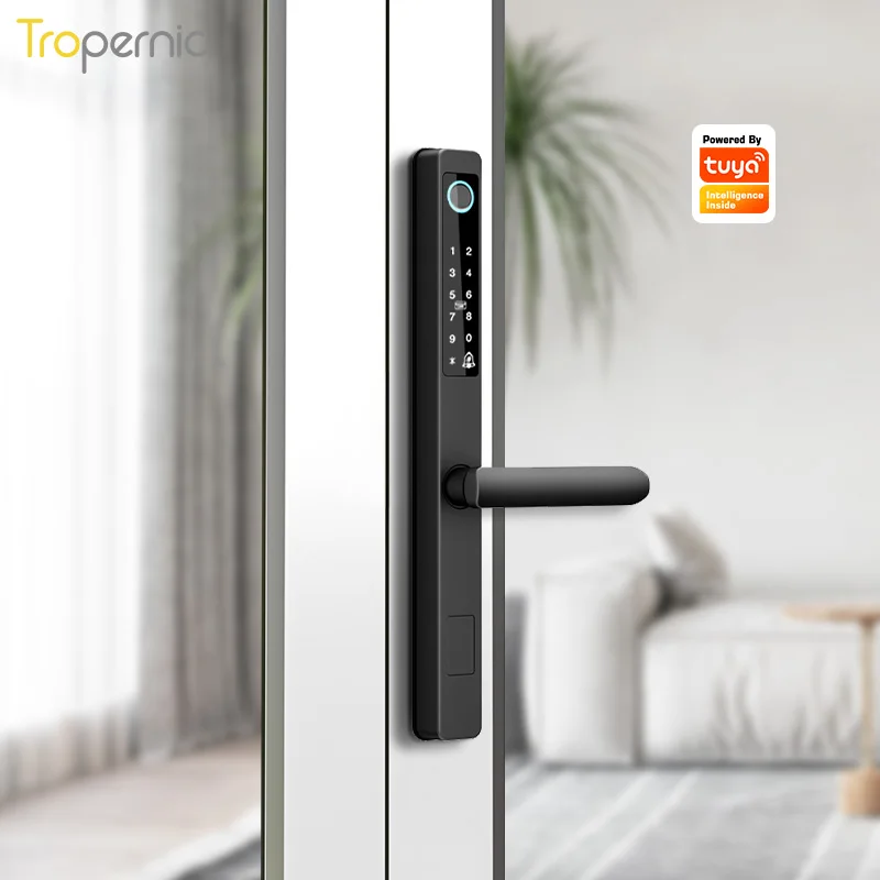 Высококачественная Водонепроницаемая цифровая биометрическая ручка со сканером отпечатков пальцев стеклянная дверь APP алюминиевый раздвижной смарт-замок для двери