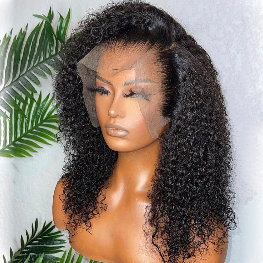 Afro Kinky Curly Wigs 360 Full Human Hair Wigs Human Hair Lace Front Wholesale Transparent HD Lace Frontal Wigs For Black Women