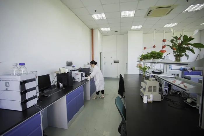 
FACTORY Fat burner Stearoyl Vanillylamide CAS 58493-50-8 