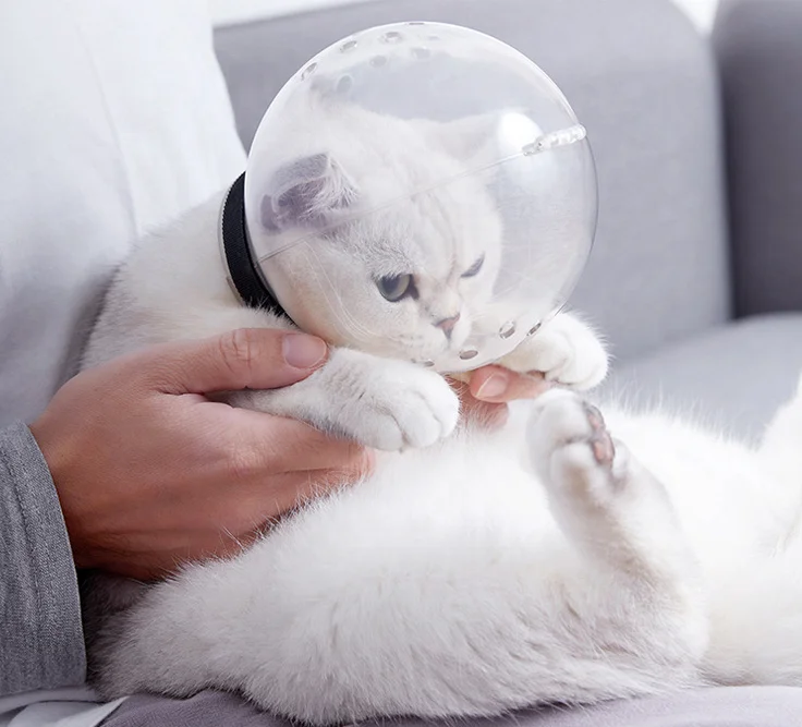 Safe and breathable cat hood going out anti-licking collar space hood hood Elizabeth cone