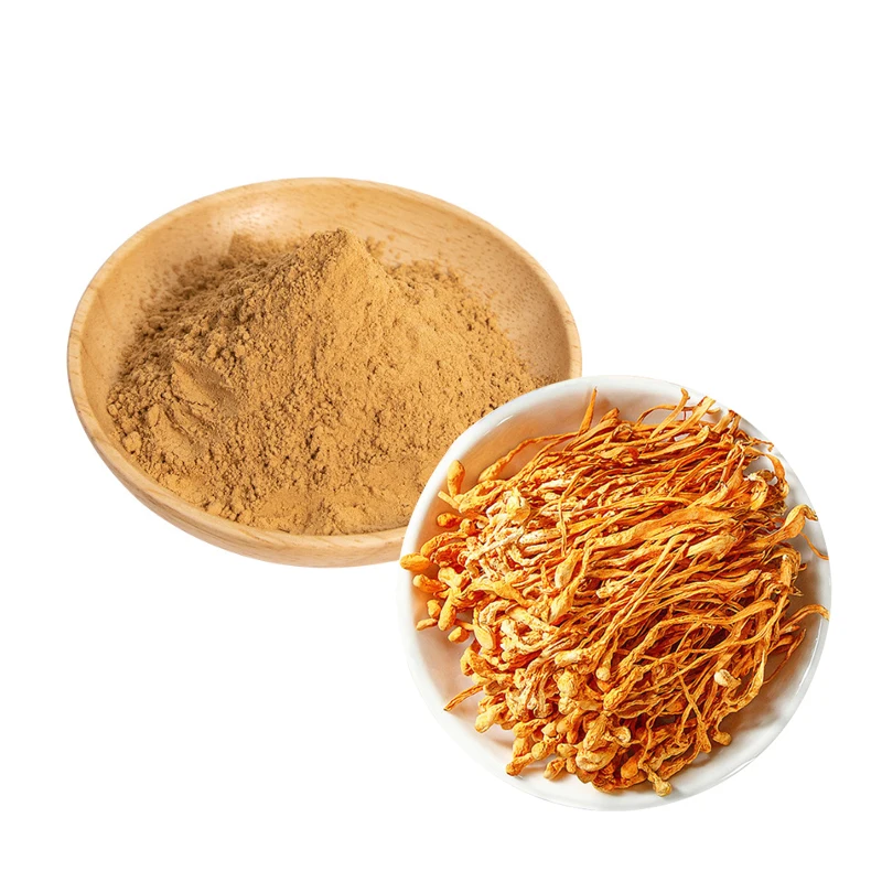 Organic 10:1 Mushroom Ground Powder Health Cordycepin 1% Cordyceps Sinensis Extract Cordyceps Militaris Powder 1 Kg