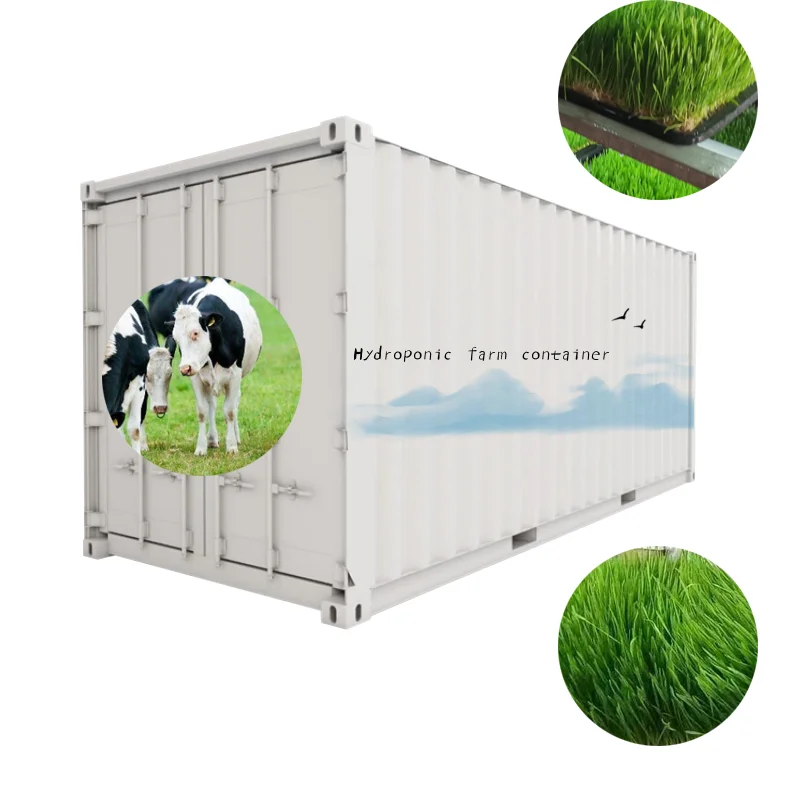 Automatic Barley Sprout Machine Hydroponic Fodder System For Sustainable Farming