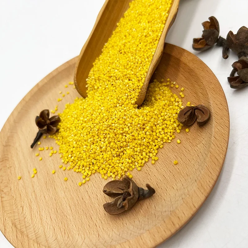 China origin Low Price bulk hulled yellow pearl millet Organic Yellow Millet for porridge