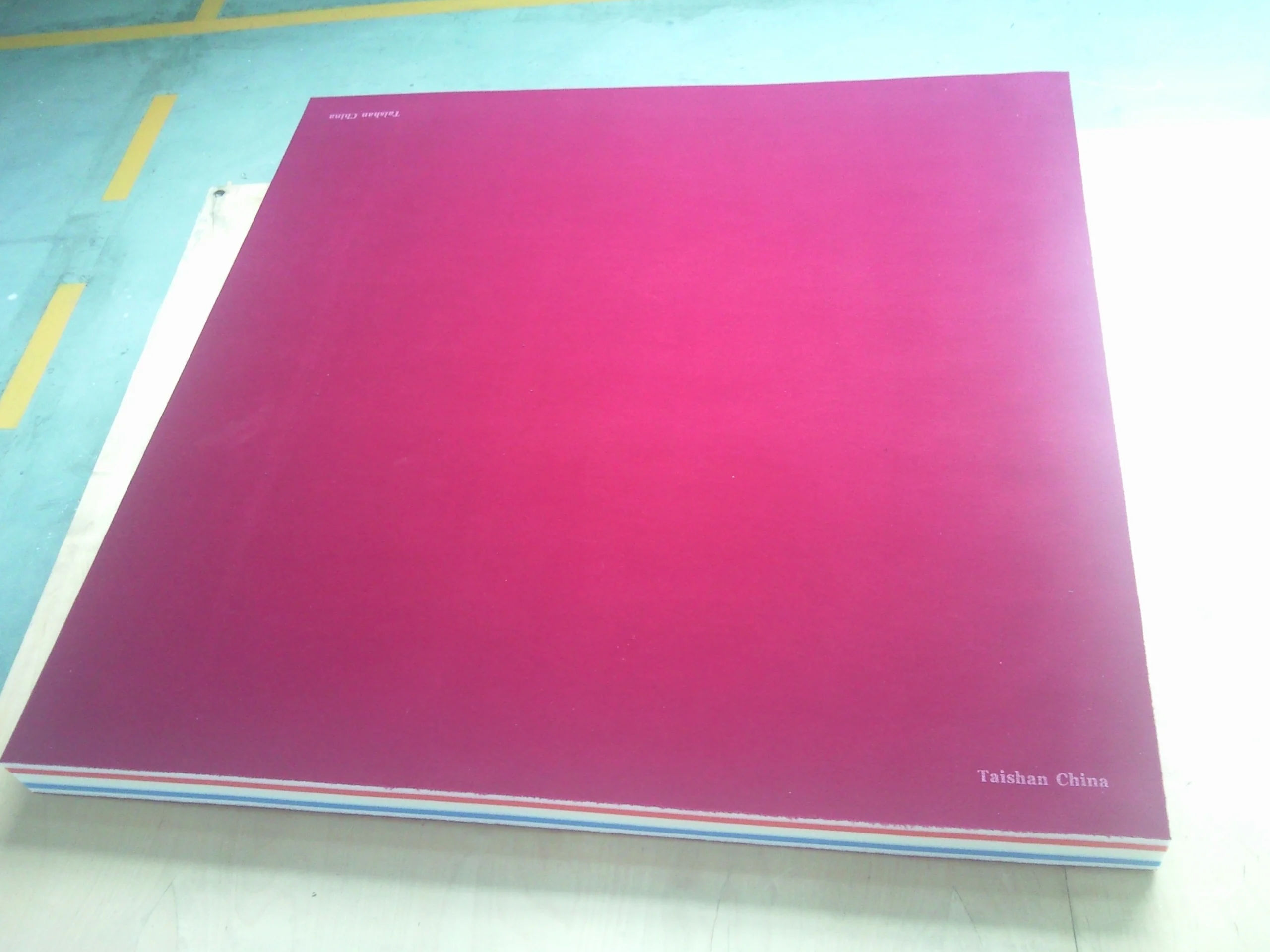 Hot sale customized wrestling mat from China factory