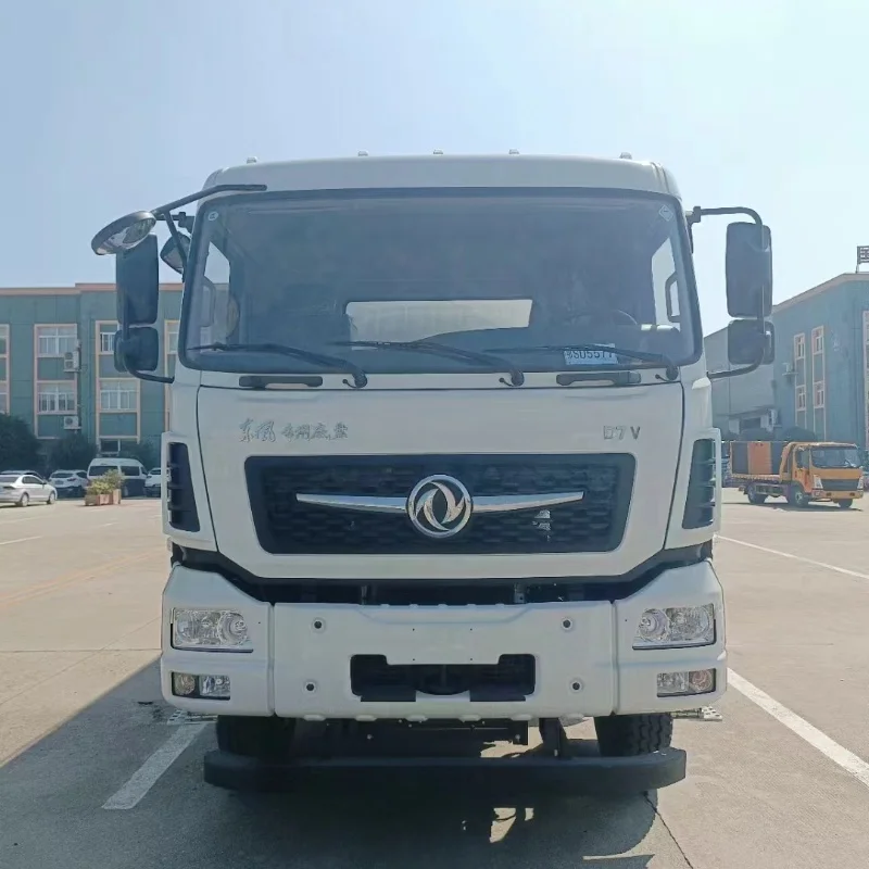 Dongfeng Howo Cargo Truck Left Hand Drive Manual Transmission Customizable Bulk Cement Dry-Mixed Powder Material Diesel New