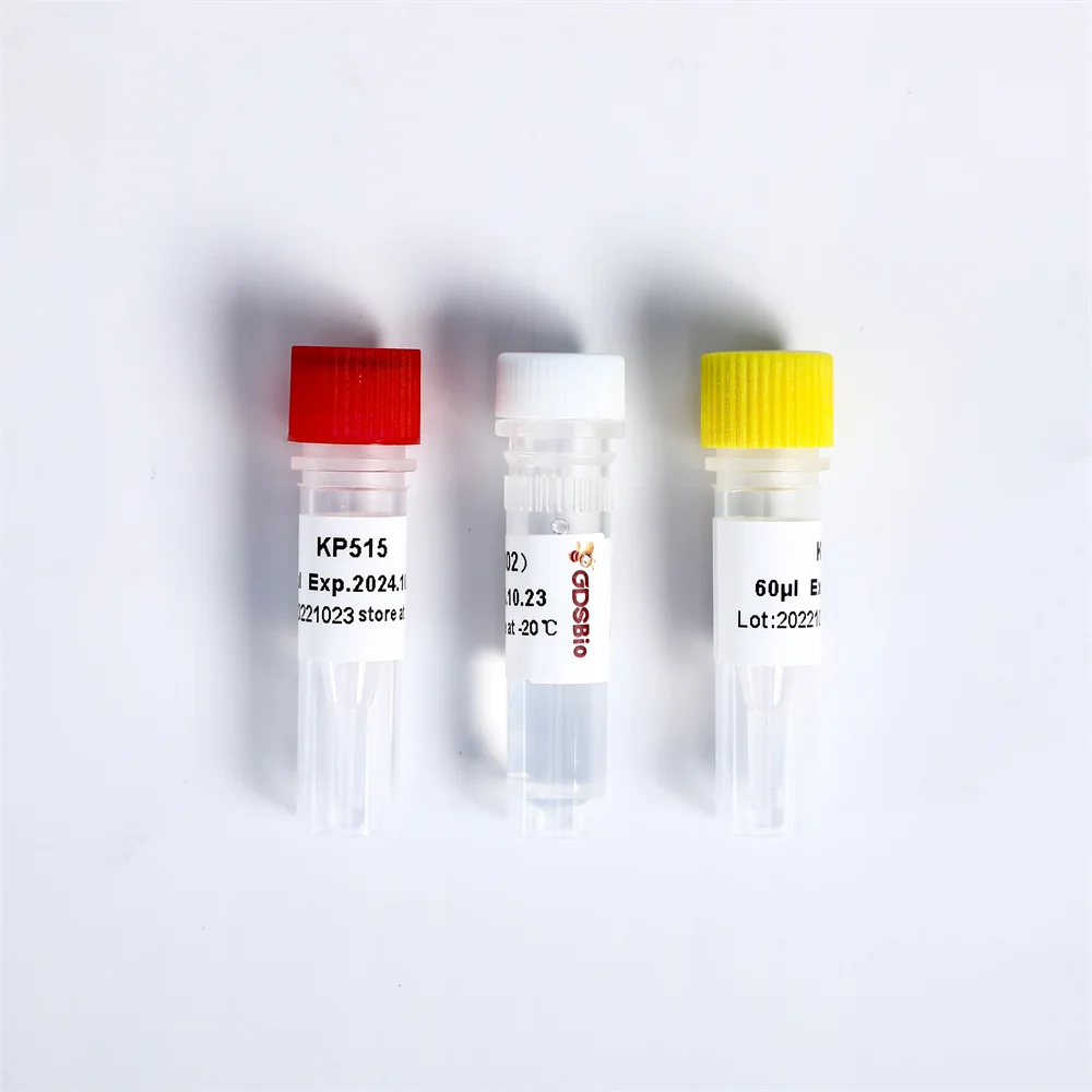 NGS Library Construction Multiplex Oligos 2 for Illumina K002-B 192 rxns