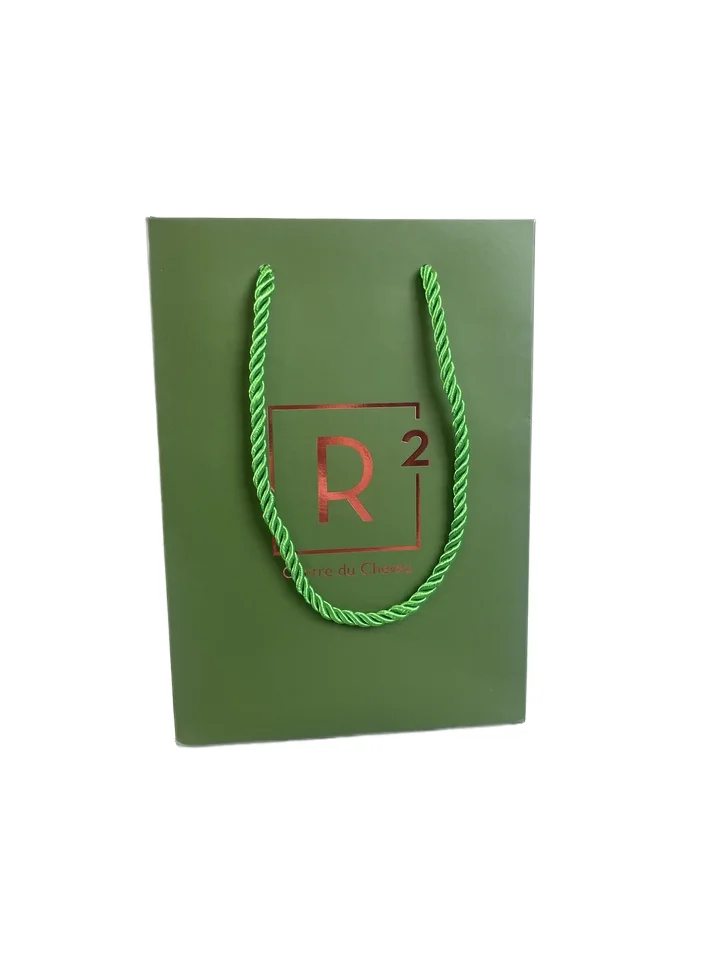 Customizable Luxury Shopping Bag with Handle Recycled Paper Packaging with Varnishing Finish and Your Own Logo Print