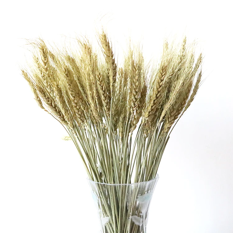 Wholesale high Quality home decor 50 pcs dried flowers wheat bouquet natural dried ear of wheats