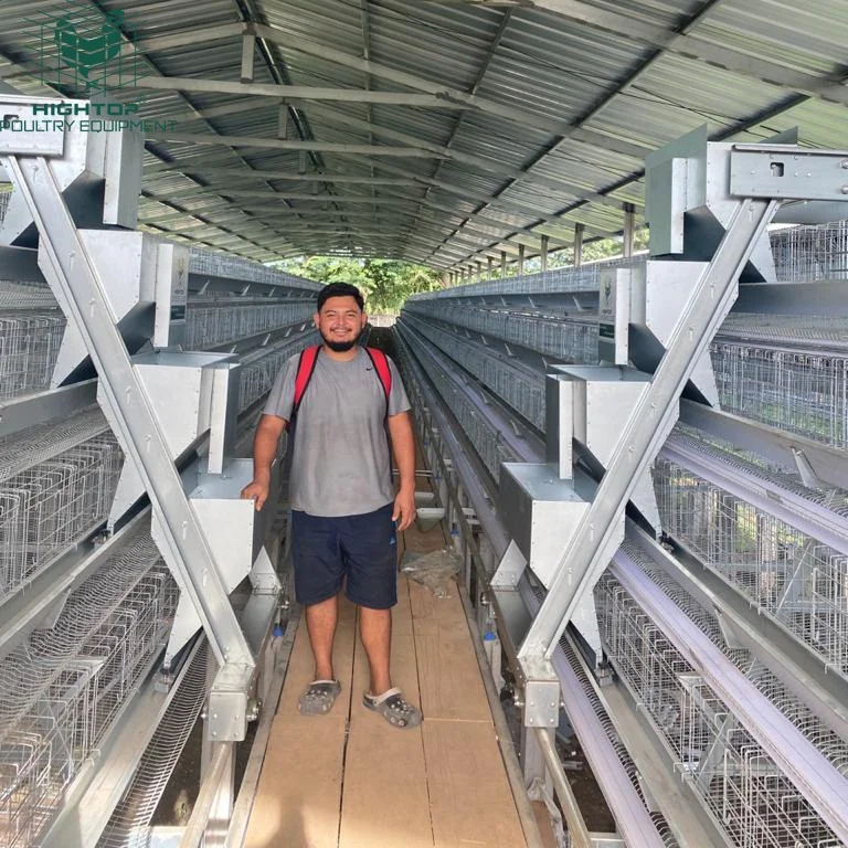 Factory Price Automatic Egg Chicken Poultry Farming A Type Chicken Layer Cages 3 Tier 4 Tier Battery Layer Farm Cage For Sale
