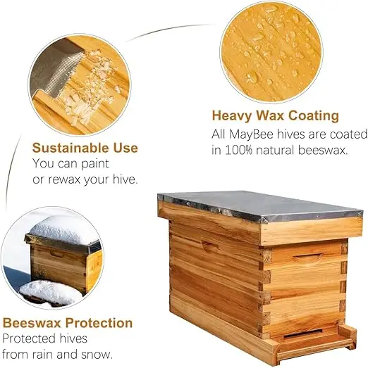 Langstroth Beekeeping Waxed Foundations 5 Wooden Frame Bee Hive Box Kit with Metal Roof