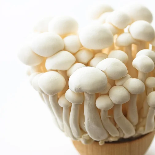 Finc Brand Supermarket Sale Organic Vegetables