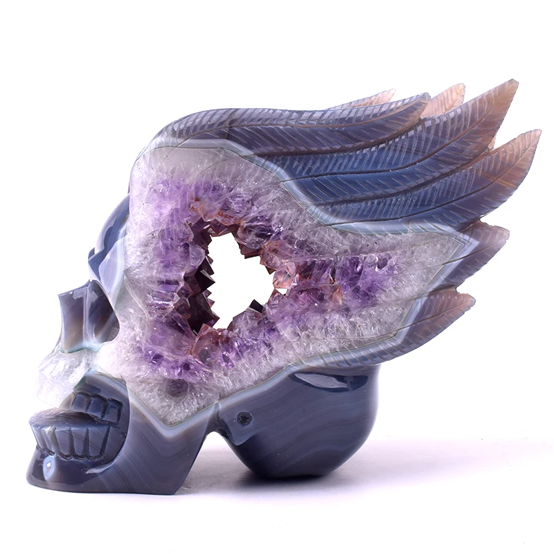 
Wholesale Natural Hand Carved Exquisite Winged Crystal Skull Amethyst Crystal Cave Agate Skull with Wing 